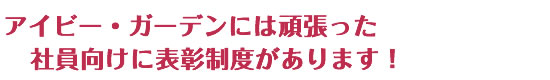 アイビーガーデンには頑張った社員向け表彰性があります！