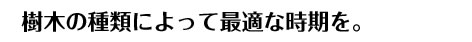 樹木の種類によって最適な時期を。